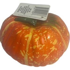 Fall Decor pumpkins thanksgiving decoration orange small